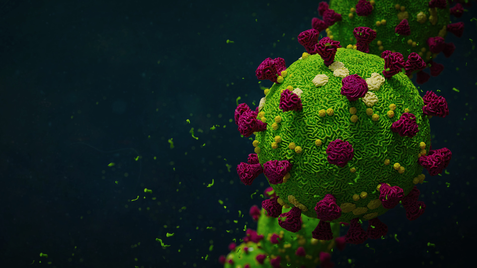 homepage slide image