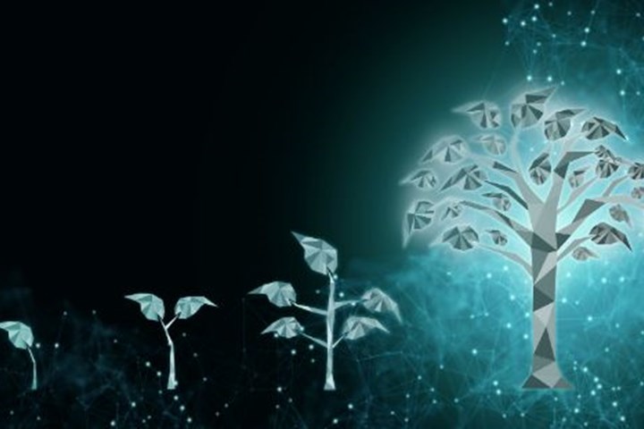 Islamic FinTech and the Halal Economy