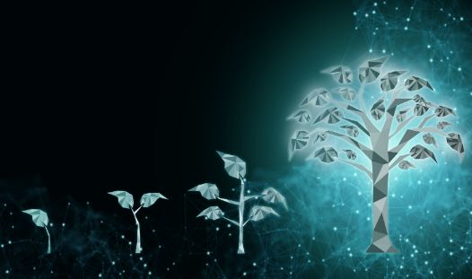 Islamic FinTech and the Halal Economy
